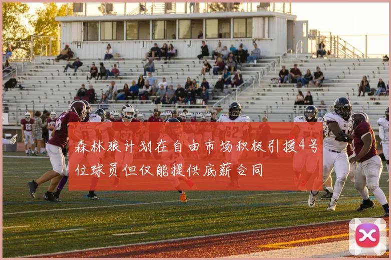 森林狼计划在自由市场积极引援4号位球员但仅能提供底薪合同