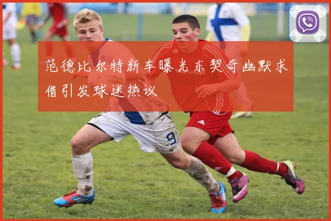 范德比尔特新车曝光东契奇幽默求借引发球迷热议
